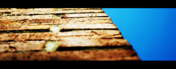 How are your clients building wealth?